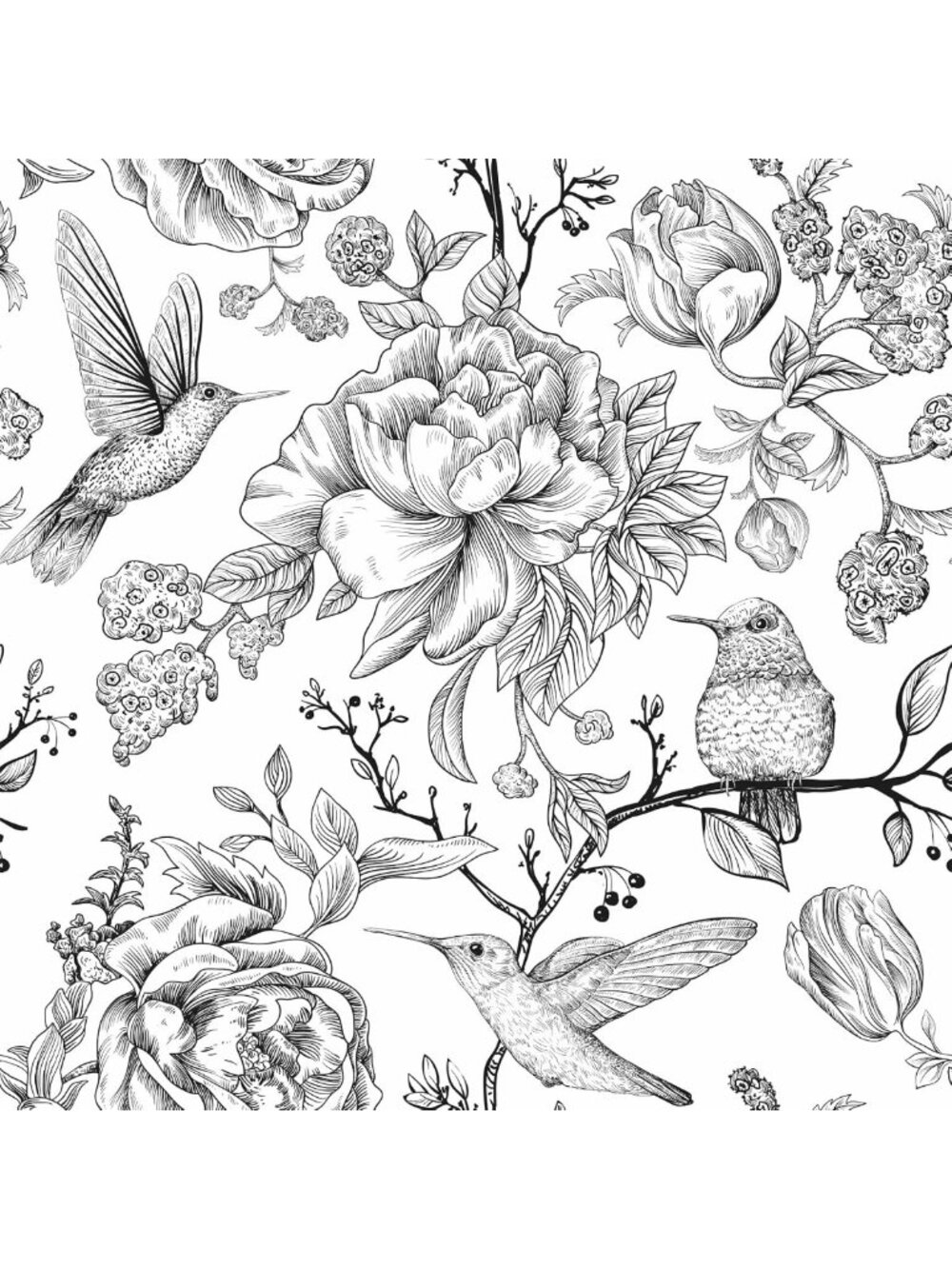 Vintage Floral Peel and Stick Wallpaper - Black & White Hummingbirds